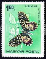 Postage stamp Hungary 1966 The Southern Festoon, Butterfly