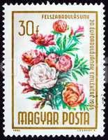 Postage stamp Hungary 1965 Bouquet of Peonies, Flowers
