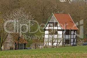 Fachwerkhaus mit Kirschbaumblüte im April in Holperdorp, NRW