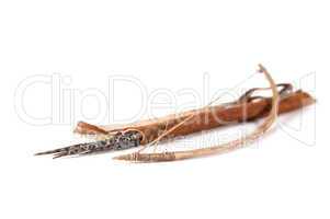Old decorative bow, quiver and arrow