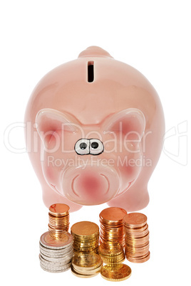 Rosa Sparschwein und Euromünzen - Pink piggy bank and euro coin