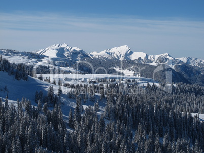 Snow covered forest and mountain in Toggenburg