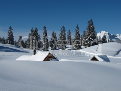 Snow covered huts and trees in Toggenburg