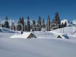 Snow covered huts and trees in Toggenburg