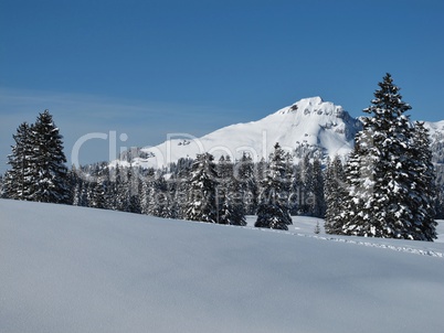 Idyllic winter landscape, snow covered forest and mountain