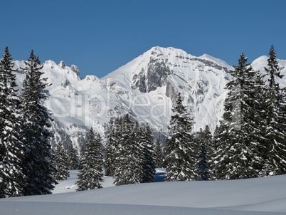 Snow covered trees and mountain, Toggenburg