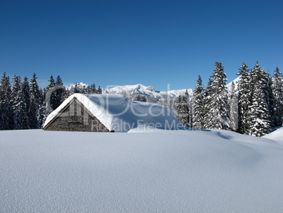 Hut in the snow, snow covered trees