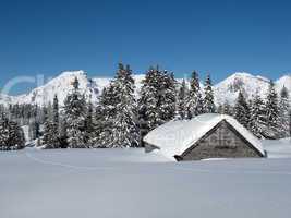Winter landscape, snow covered trees and hut