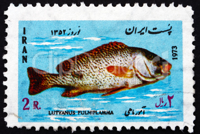 Postage stamp Iran 1973 Black-Spotted Snapper, Fish