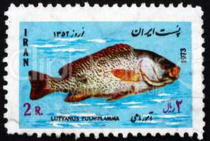 Postage stamp Iran 1973 Black-Spotted Snapper, Fish