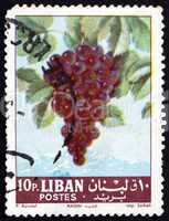 Postage stamp Lebanon 1962 Grapes, Fruiting Berry
