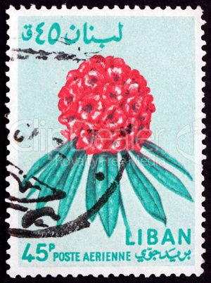 Postage stamp Lebanon 1964 Rhododendron, Flower