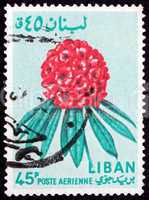 Postage stamp Lebanon 1964 Rhododendron, Flower