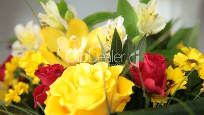 DOLLY: Color Your Day With  Bouquet