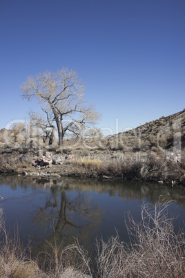 Truckee river just past Reno towards Fernley