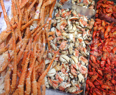 Shell Fish Market Variety on Ice