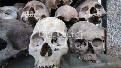 Skulls and bones in Killing field