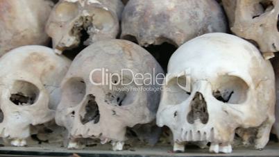 Skulls and bones in Killing field