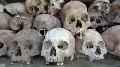 Skulls and bones in Killing field