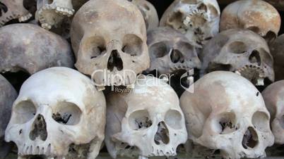 Skulls and bones in Killing field