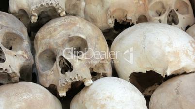 Skulls and bones in Killing field