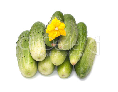 Cucumbers.