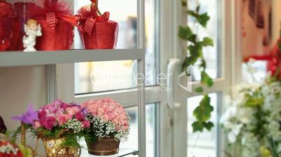 Flower Shop Interior
