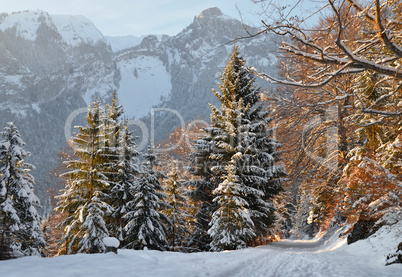 Letzte Sonnenstrahlen auf Wanderweg