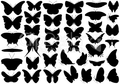 Butterfly Set