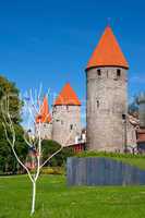 Towers of Tallinn. Estonia