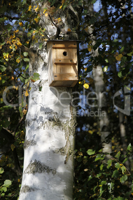 Vogelnistkasten an einem Baum