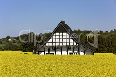 Fachwerkhaus mit Rapsfeld in Georgsmarienhütte, Osnabrücker Land, Niedersachsen