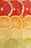 Hintergrund aus Grapefruit, Orangen, Zitronen und Limonen