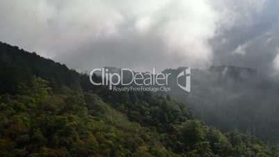 Floating clouds in the mountains of Park Montecristo in El Salvador Time Lapse