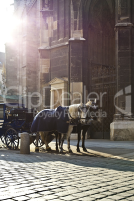 Horse carriage in central Vienna