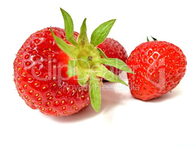 Erdbeeren