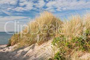 Weg zum Strand durch Dünen an der Ostsee