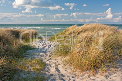Weg durch Dünen am Strand der Ostsee bei Heiligenhafen