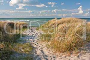 Weg durch Dünen am Strand der Ostsee bei Heiligenhafen