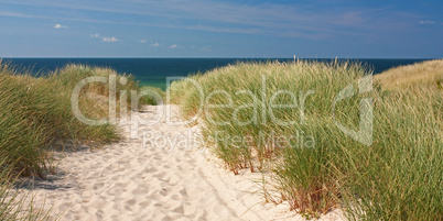 Weg zum Strand durch Dünen auf Sylt