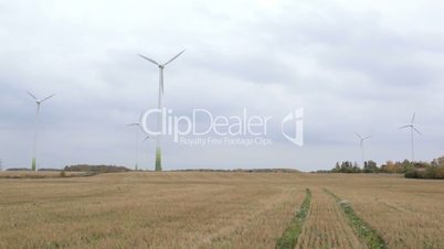 Many wind turbines in the field.