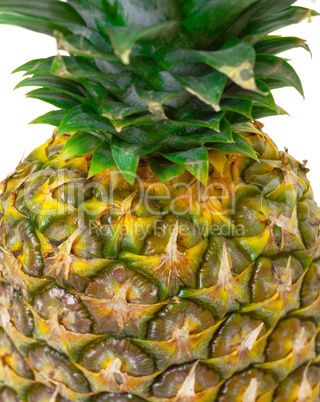 Part Ripe Pineapple Fruit