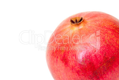 Pomegranate Fruit with Copyspace