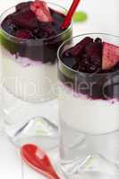 Detailaufnahme Joghurt und Quarkdessert - Detail view Yogurt and