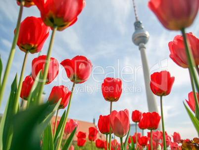 TV Tower, Berlin