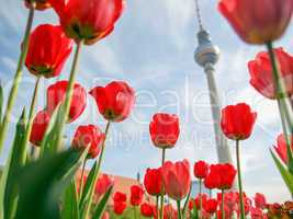 TV Tower, Berlin