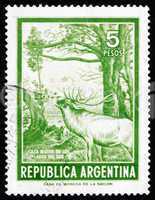 Postage stamp Argentina 1974 Red Deer in Forest