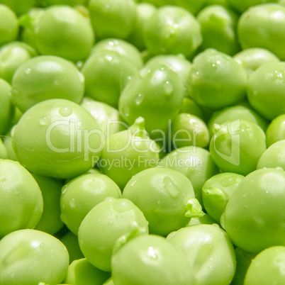 Peas picture