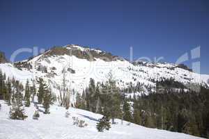Sierra Nevada snow ranges