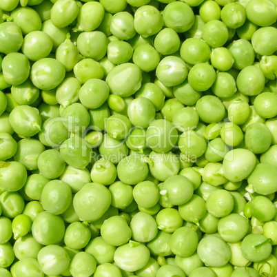 Peas picture